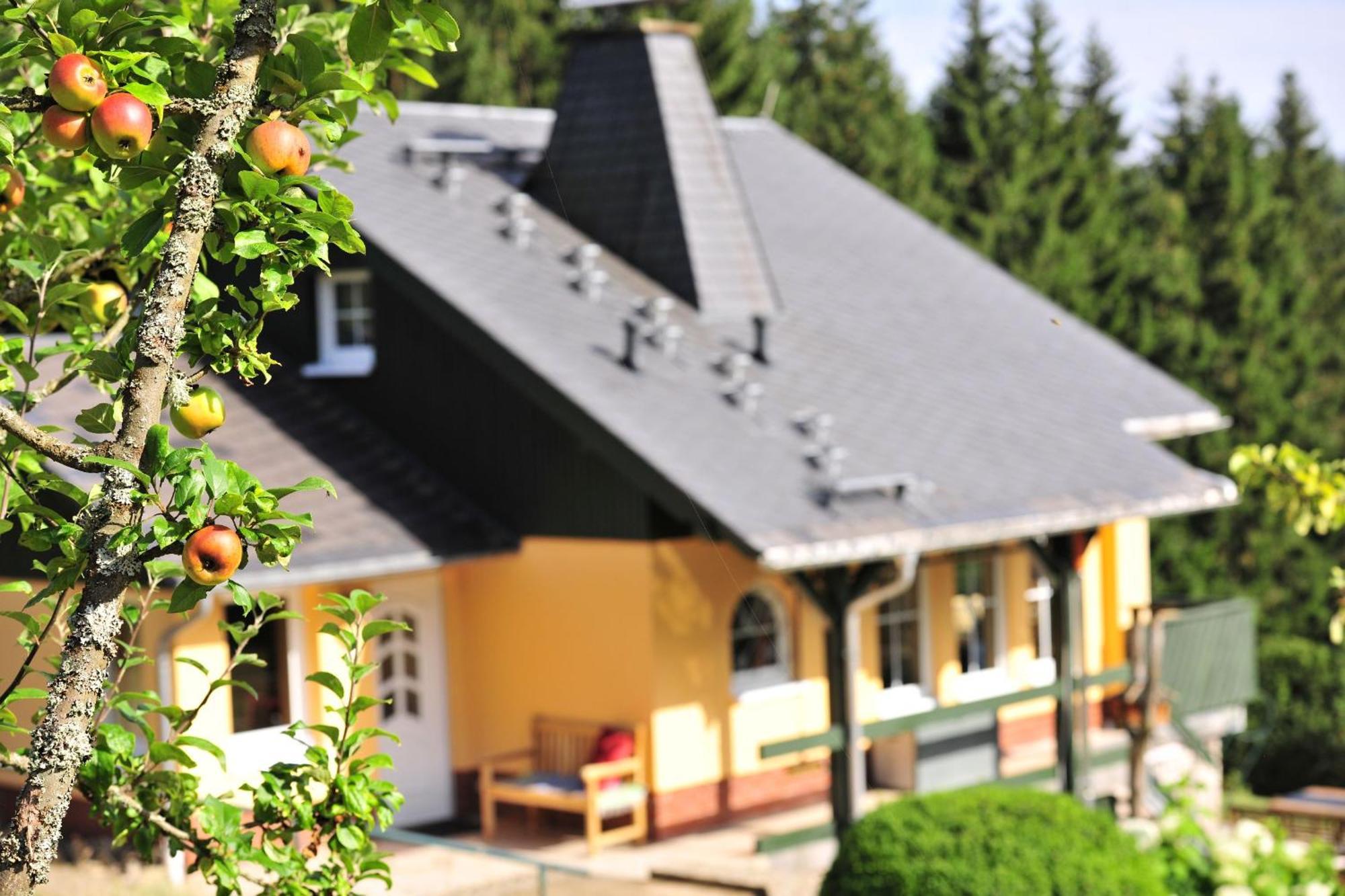Exklusives Ferienhaus "Waldzauber" Ruhe Und Natur Pur Am Waldrand Geniessen Schoenheide Exterior photo